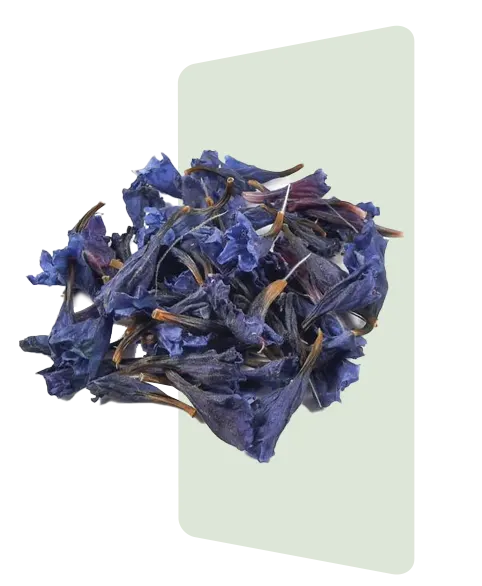 گل گاوزبان - Borage